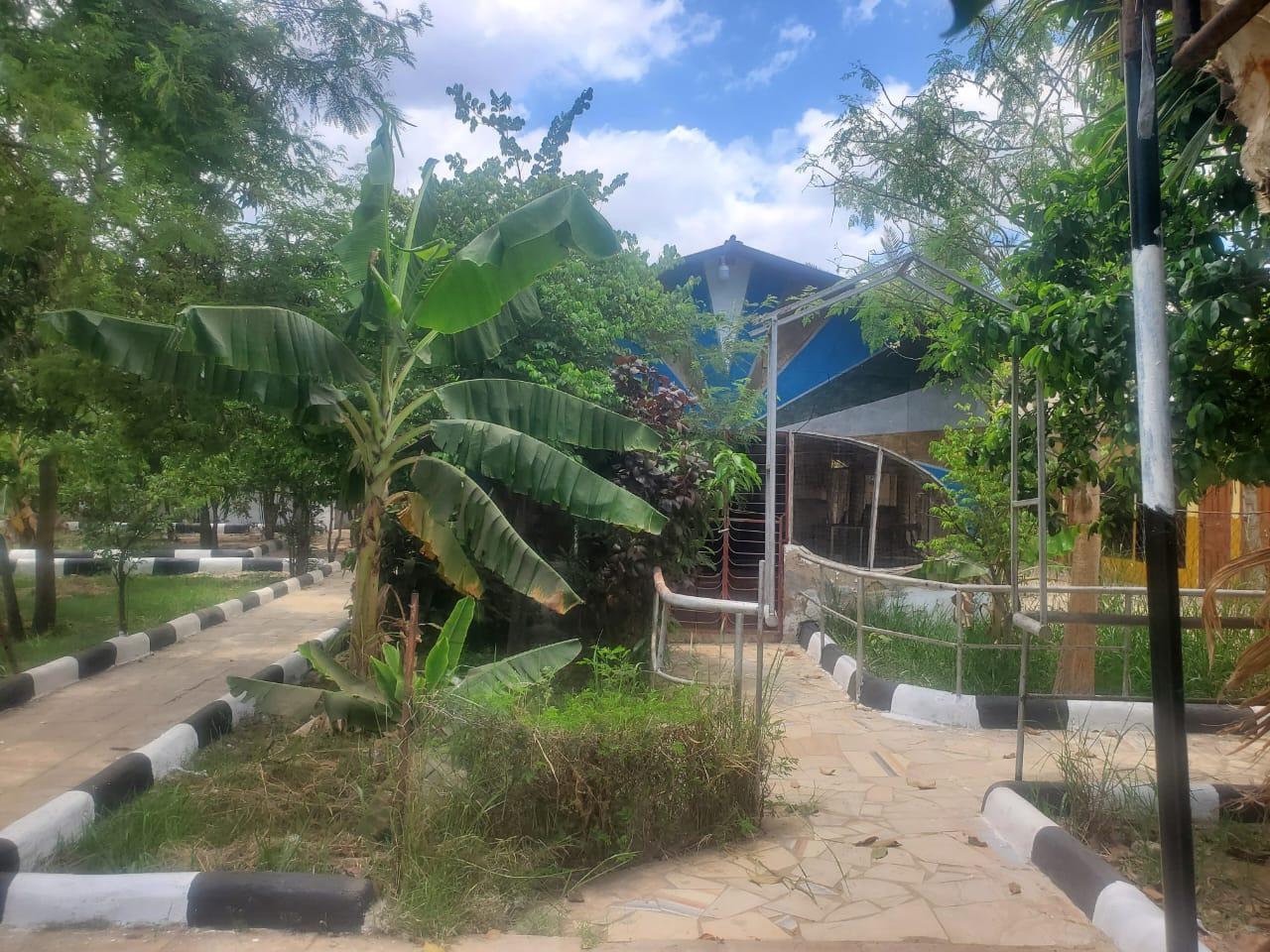 COZY HOSTEL